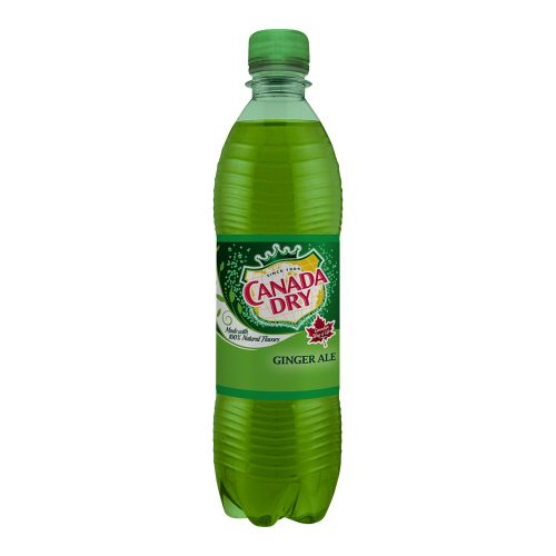 Canada Dry 0,5l pet DRS