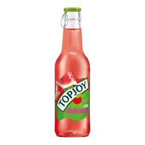 Topjoy 250ml alma-görögdinnye DRS